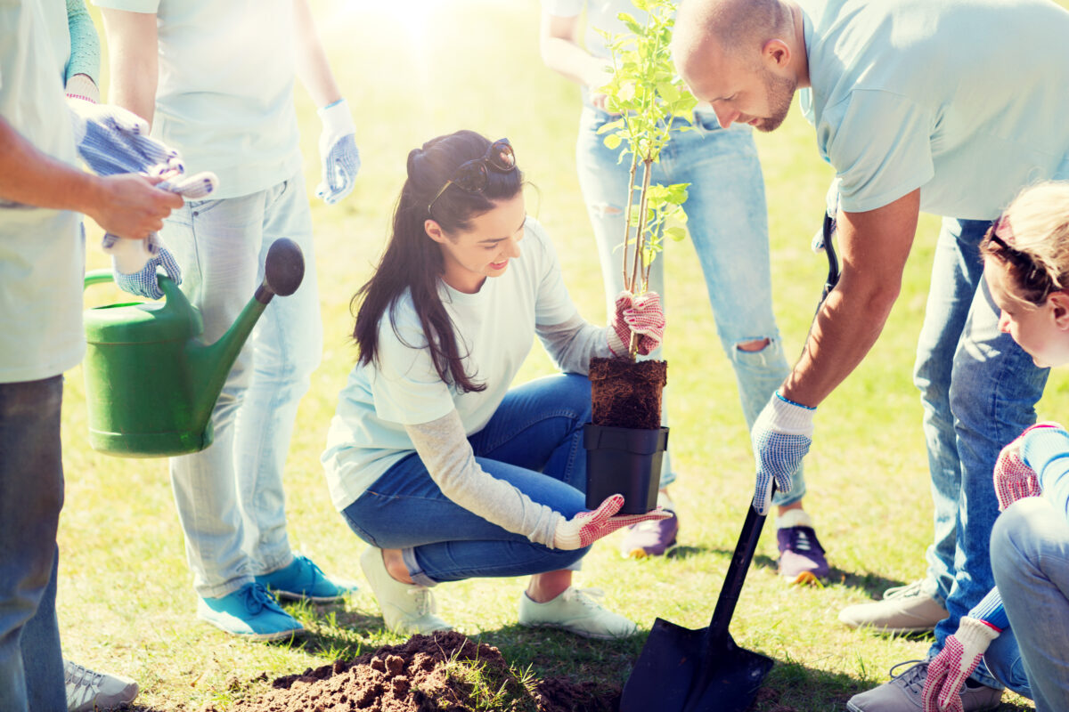 group of volunteers planting tree in community park