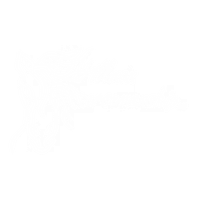 hillman horsemanship