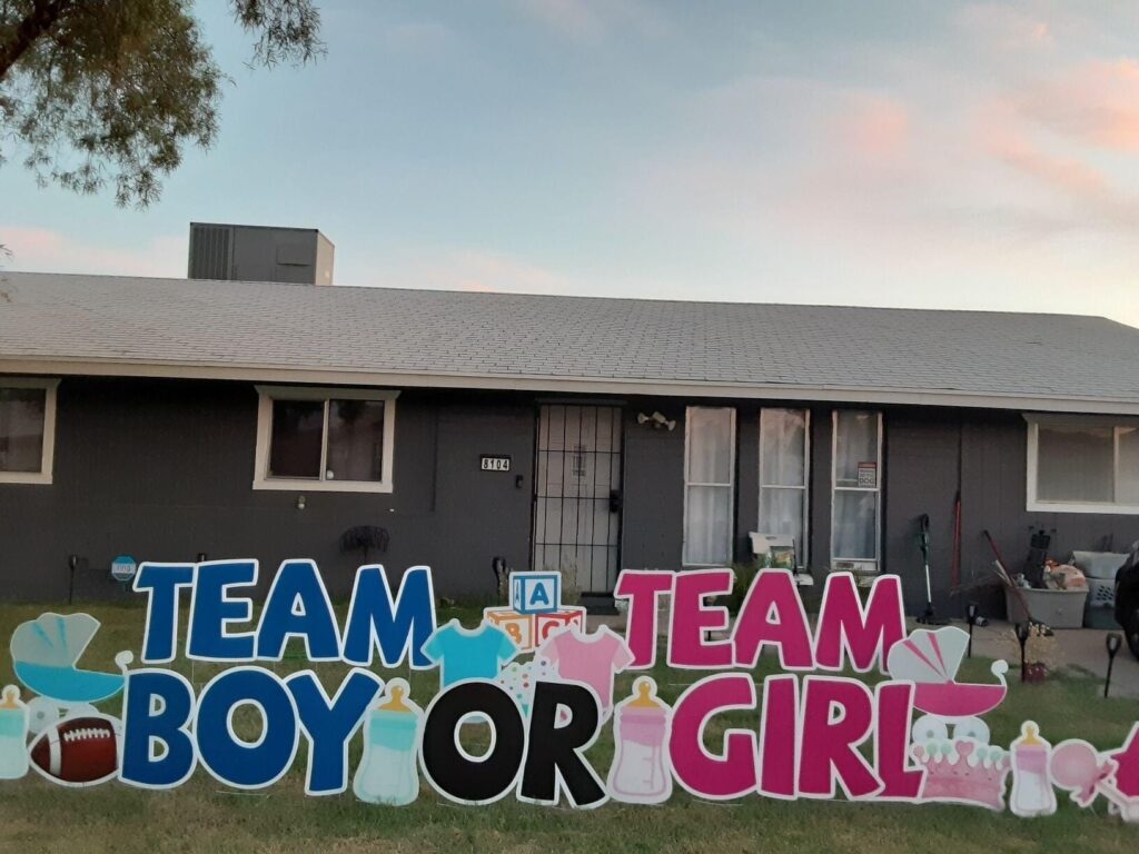 team boy or team girl