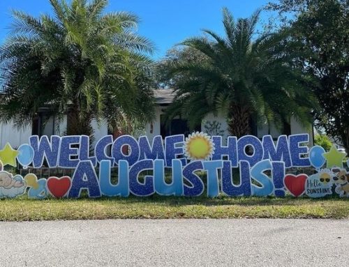 Palm Coast Yard Sign Spotlight
